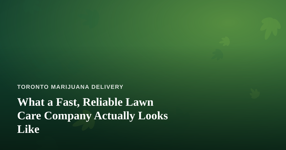 What a Fast, Reliable Lawn Care Company Actually Looks Like