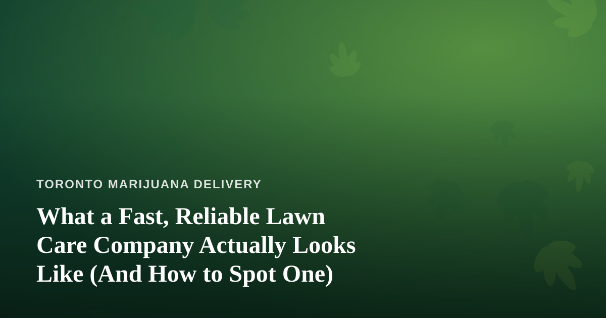 What a Fast, Reliable Lawn Care Company Actually Looks Like (And How to Spot One)