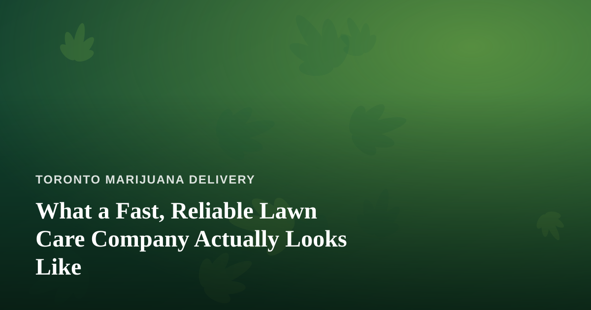What a Fast, Reliable Lawn Care Company Actually Looks Like